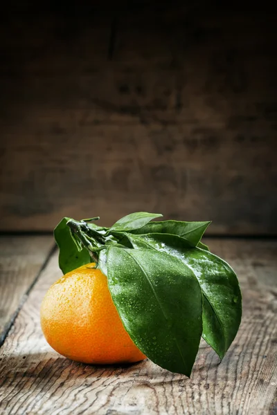 Tangerine med blad, selektiv inriktning — Stockfoto