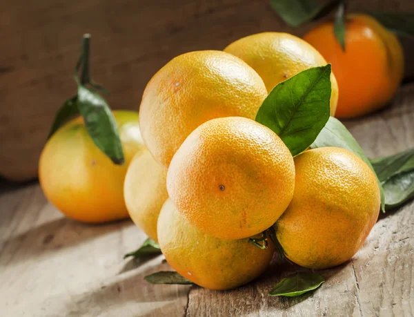 Färska mandariner med blad på en gren — Stockfoto