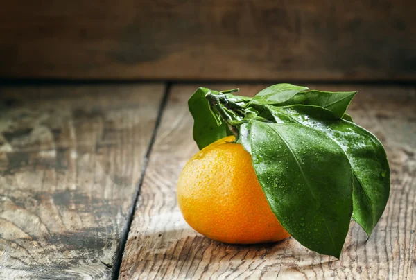 Tangerine med blad, selektiv inriktning — Stockfoto