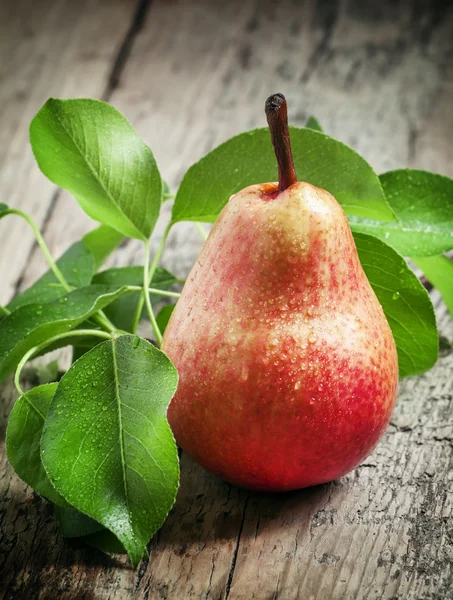 Pêra rosa com gotas de água e folhas verdes — Fotografia de Stock