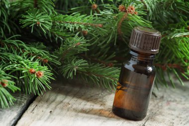 Aromatik temel çam yağı küçük bir şişe içinde 