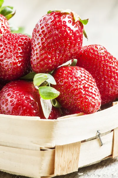 新鲜的春草莓 — 图库照片
