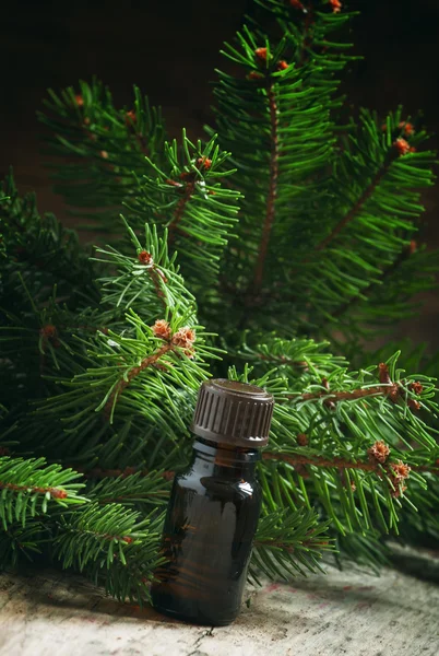 Aceite de abeto esencial aromático en una botella pequeña — Foto de Stock