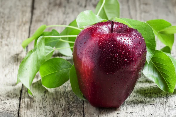 Pomme rouge et bordeaux avec gouttes d'eau — Photo