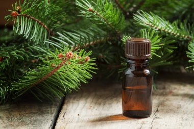 Aromatik temel çam yağı küçük bir şişe içinde 