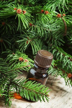 Aromatik temel çam yağı küçük bir şişe içinde 