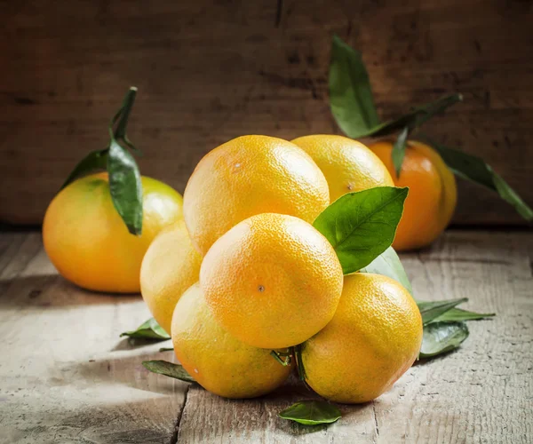 Vers mandarijnen met bladeren op een tak — Stockfoto