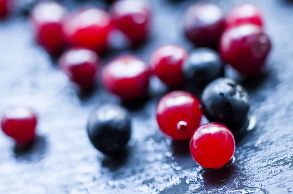 Cranberries, cinza de montanha, aronia, em um fundo de pedra escura molhada — Fotografia de Stock