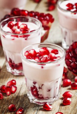 Narlı ev yapımı yoğurt 