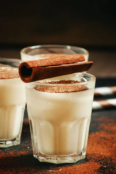 Traditioneller Winter-Eierlikör mit Milch, Rum und Zimt — Stockfoto