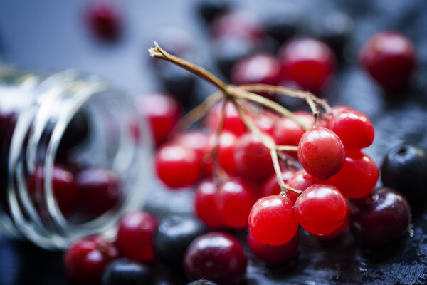 Cranberries, mountain ash, viburnum, chokeberries in a glass jar  