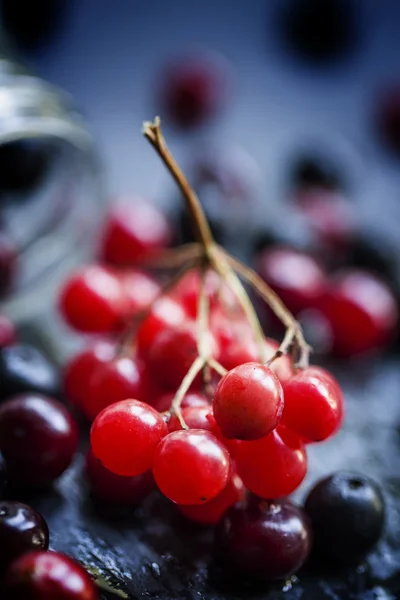 Arándanos, ceniza de montaña, viburnum, garbanzos en un frasco de vidrio — Foto de Stock