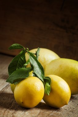 taze limon yaprakları ile 