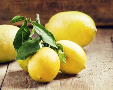 taze limon yaprakları ile 