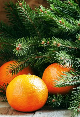 Köknar dalları ve portakal mandalina ile Noel Yeni Yıl kompozisyon