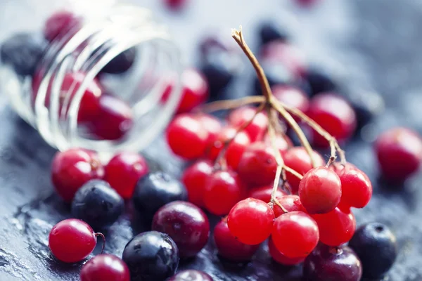Cranberries, τέφρα βουνό, viburnum, chokeberries σε ένα γυάλινο βάζο — Φωτογραφία Αρχείου