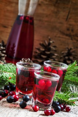 Kış içkiyle kızılcık, cowberries ve siyah chokeberries