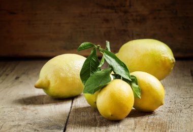 taze limon yaprakları ile 