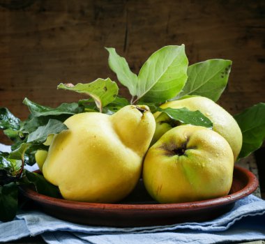 Large ripe quince fruits with leaves on a clay plate   clipart