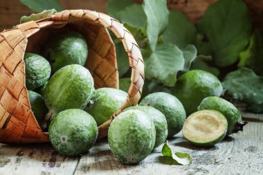 Feijoa meyve bir hasır sepet dışarı dökülür 