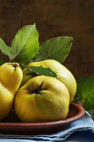 Grandes frutos de marmelo maduros com folhas em um prato de barro — Fotografia de Stock