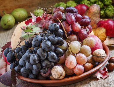 Sonbahar meyve ve fındık ile çanak