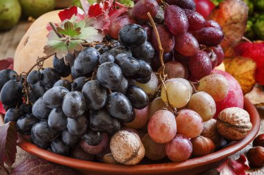 Sonbahar meyve ve fındık ile çanak