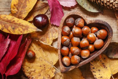 Fresh hazelnuts in a wooden bowl in the form of heart  clipart