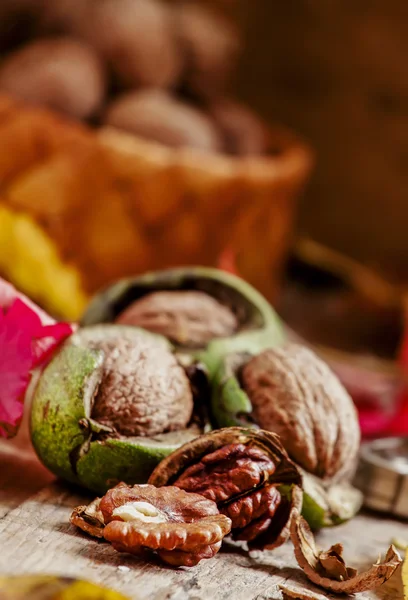 Nueces frescas en una cáscara verde —  Fotos de Stock