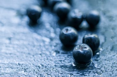 Chokeberries, ıslak bir taş zemin üzerine bilberries