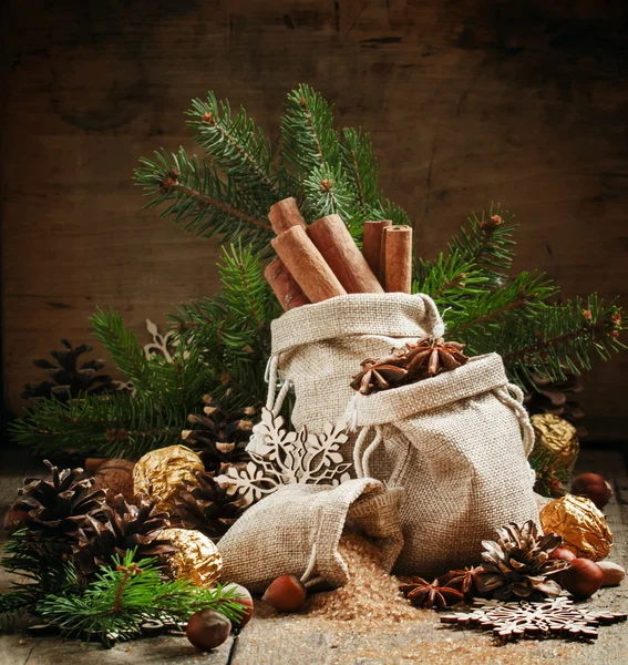 袋にクリスマス スパイス — ストック写真