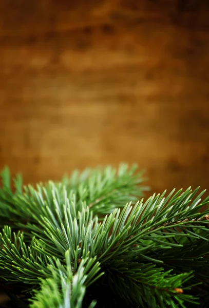 Groene fir takken van een oude houten achtergrond — Stockfoto