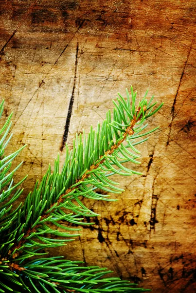 Branches de sapin vert sur un vieux fond en bois — Photo