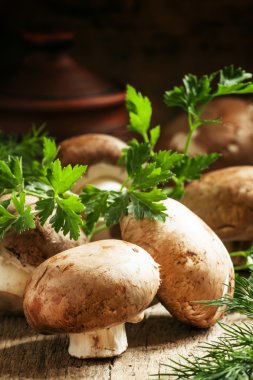 Antika ahşap bir masa üzerinde kahverengi mantar