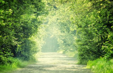 Yaz doğal arka plan, taş bloklar yol ile peyzaj