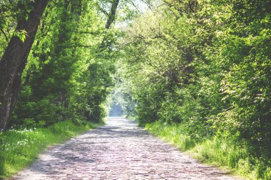 Yaz doğal arka plan, taş bloklar yol ile peyzaj