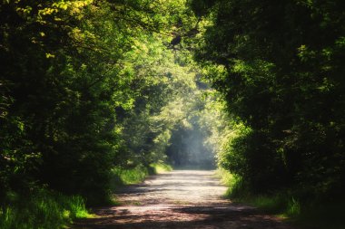 Yaz doğal arka plan, taş bloklar yol ile peyzaj