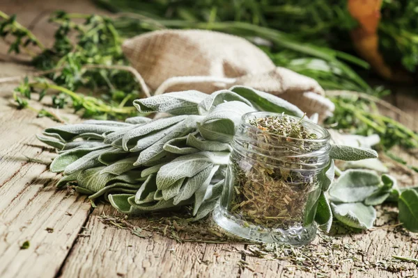 Salvia seca en un frasco de vidrio, salvia fresca — Foto de Stock