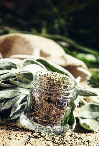 Dried sage in a glass jar, fresh sage — Stock Photo, Image