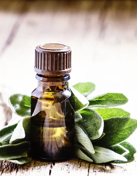 Aceite esencial de salvia, para aromaterapia, hojas frescas de salvia —  Fotos de Stock