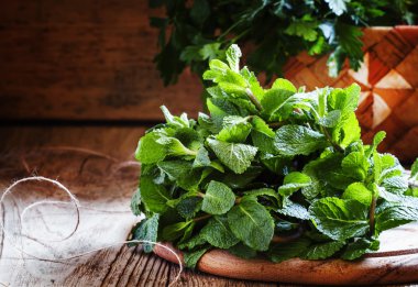 Taze nane ve diğer otlar