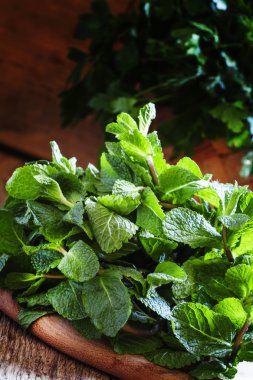 Taze nane ve diğer otlar