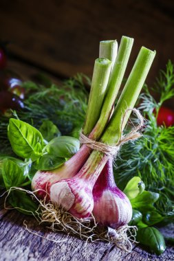 Bir pakette bulunan bahar genç sarımsak