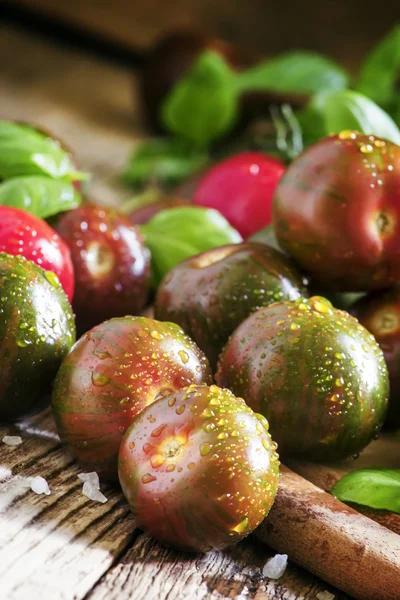 Dark green cherry tomatoes Black Prince — Stock Photo, Image