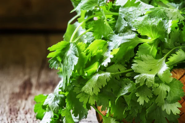 Fresh cilantro in a wicker basket — Stock Photo, Image