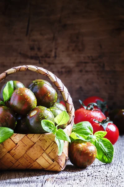 Black and red cherry tomatoes, Italian green basil in a wicker basket — Stockfoto