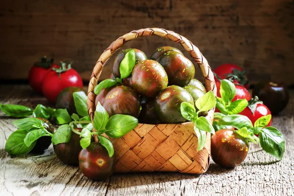 Black and red cherry tomatoes, Italian green basil in a wicker basket — стокове фото