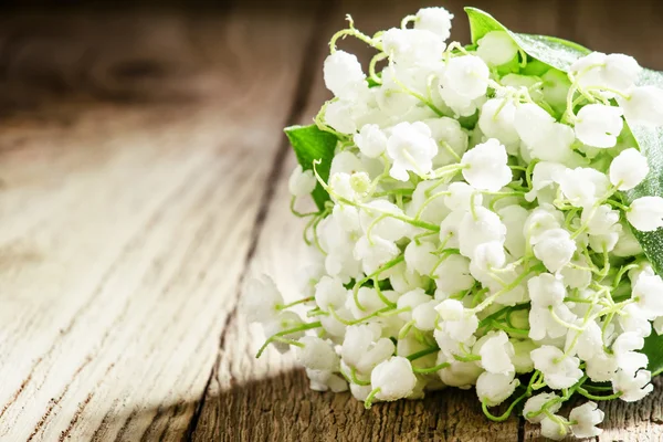 Bouquet de mai lys de la forêt de la vallée — Photo