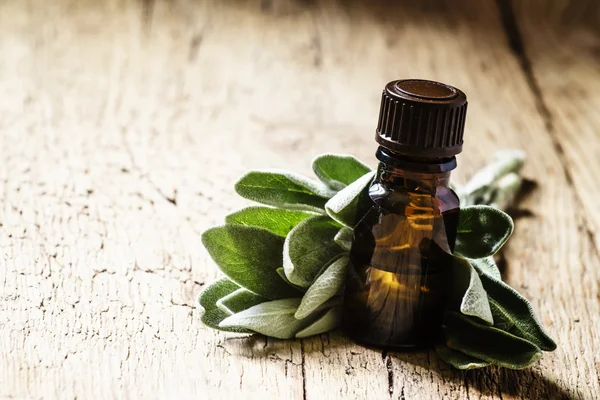 Sage oil in brown bottle — Stock Photo, Image