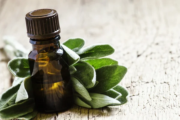 Sage oil in brown bottle — Stock Photo, Image